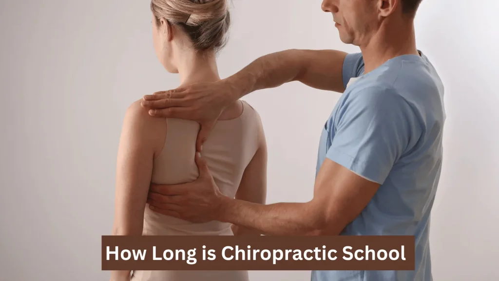 How Long is Chiropractic School