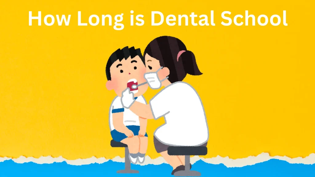 How Long is Dental School?