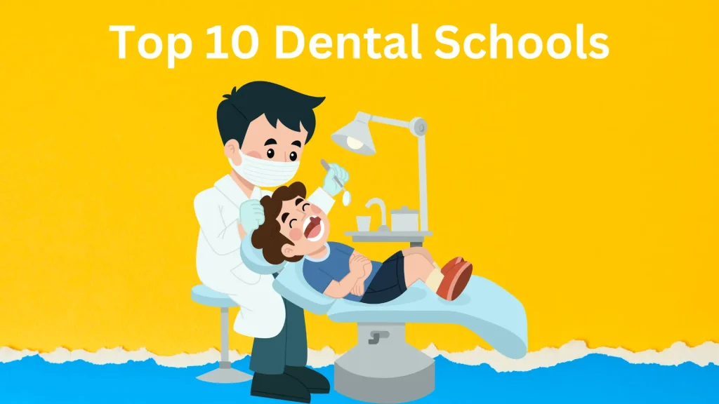 Top 10 Dental Schools