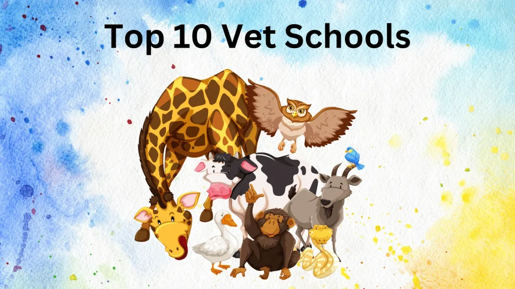 Top 10 Vet Schools