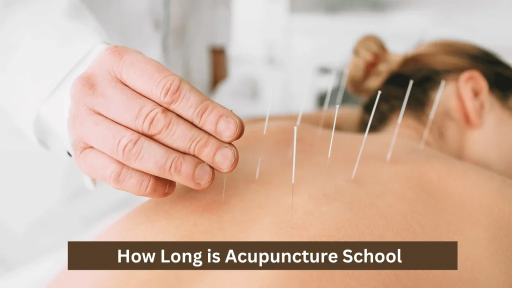 How Long is Acupuncture School