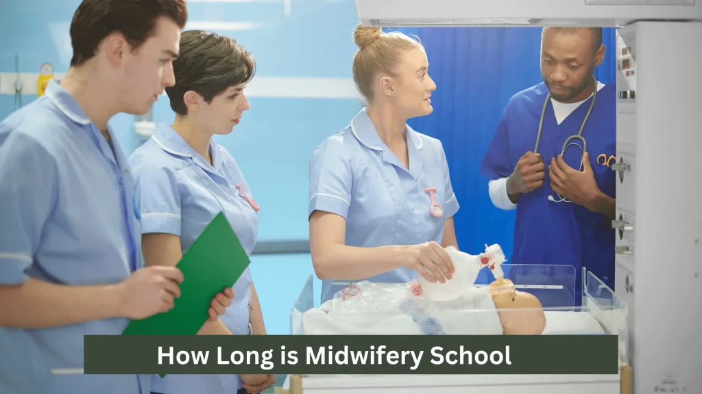 Road map Midwifery school
