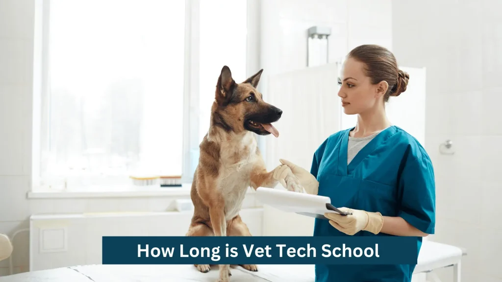 How Long is Vet Tech School