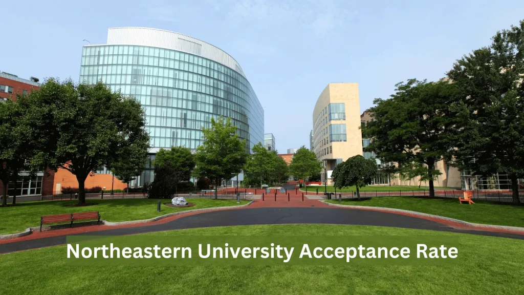 Northeastern University Admission Rate