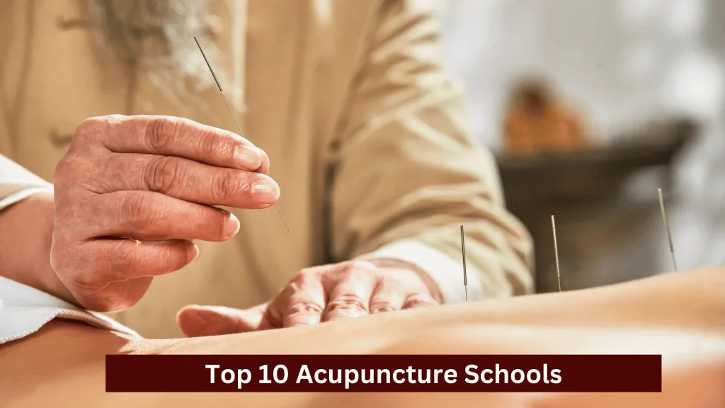 Top 10 Acupuncture Schools