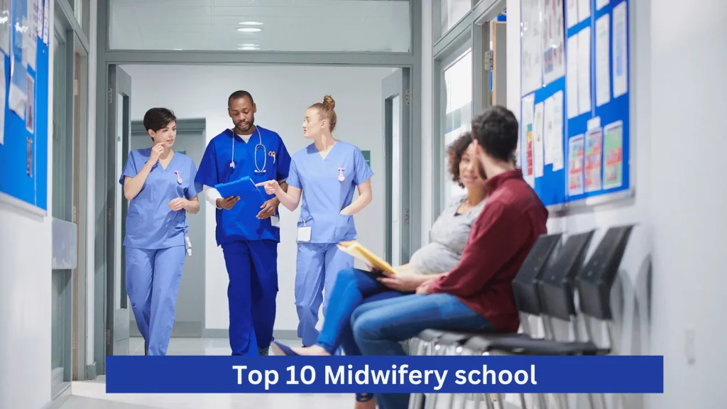 Top 10 Midwifery school