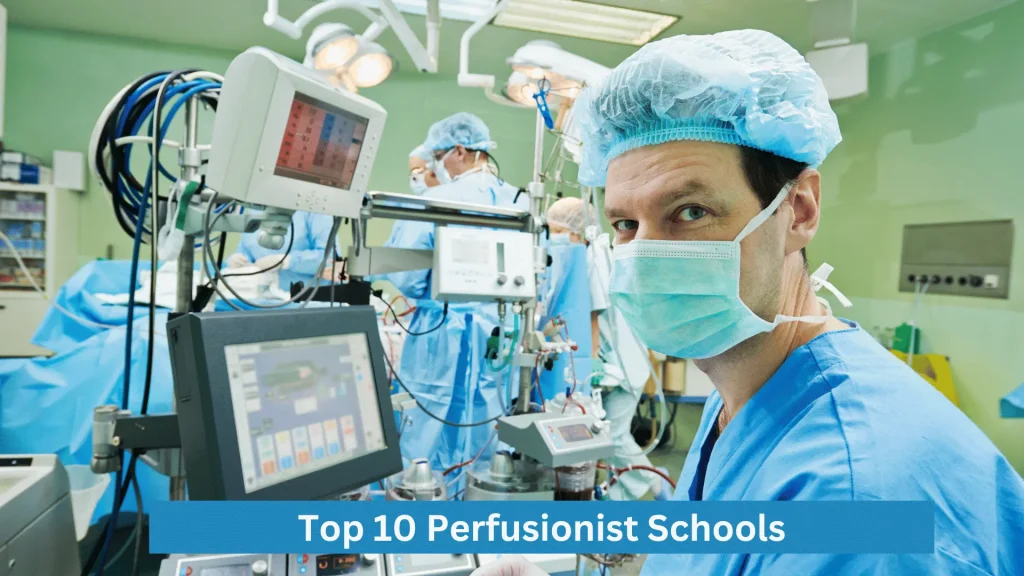 Top 10 Perfusionist Schools