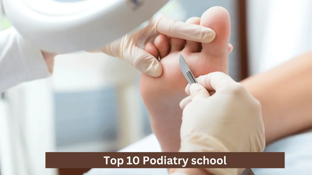 Top 10 Podiatry school