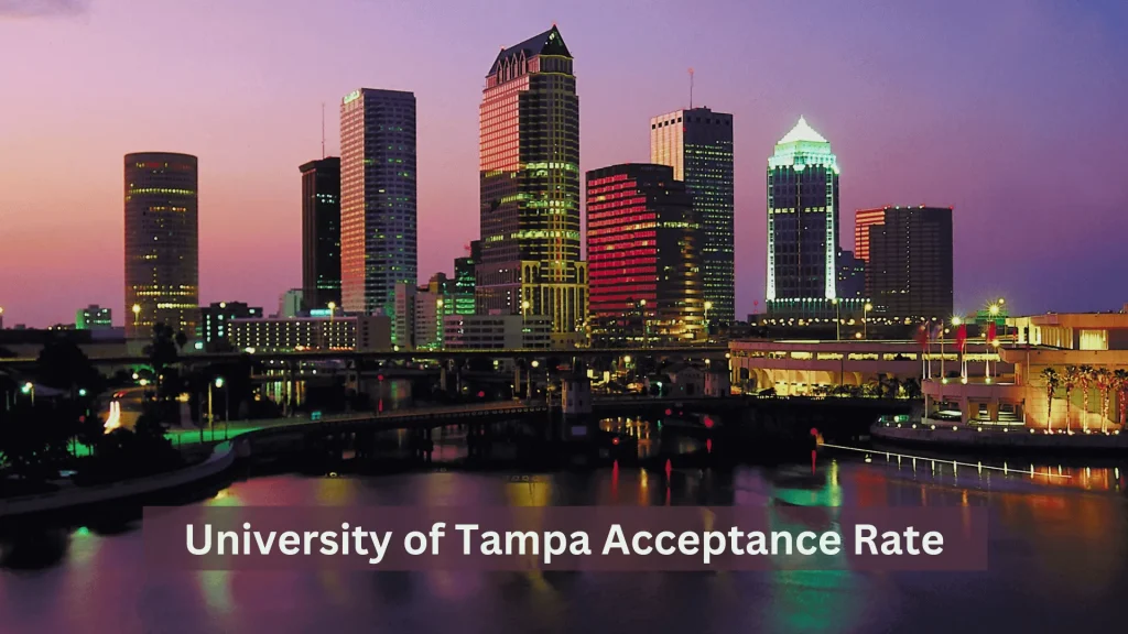 University of Tampa Acceptance Rate